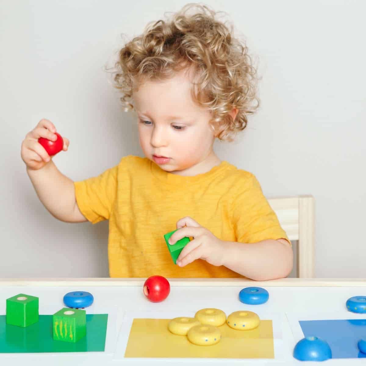 What Are Executive Functions?